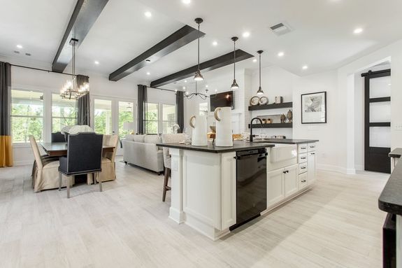 Fir Model Kitchen